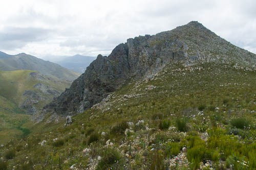 Phillipskop Mountain Reserve