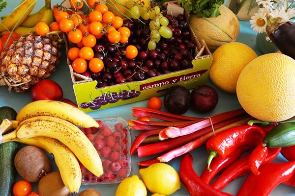 18 Lunchbox Ideas for School and Travel